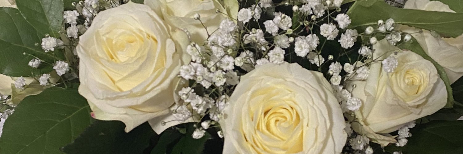yael_scc's profile banner image