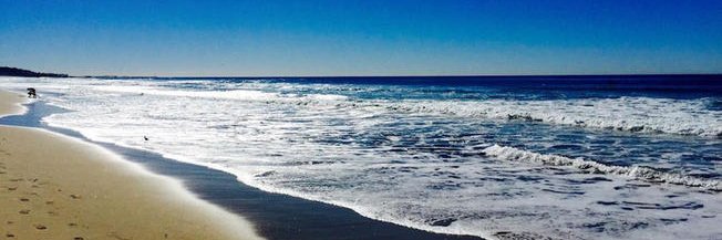 Lindsey Peterson, NBCT banner