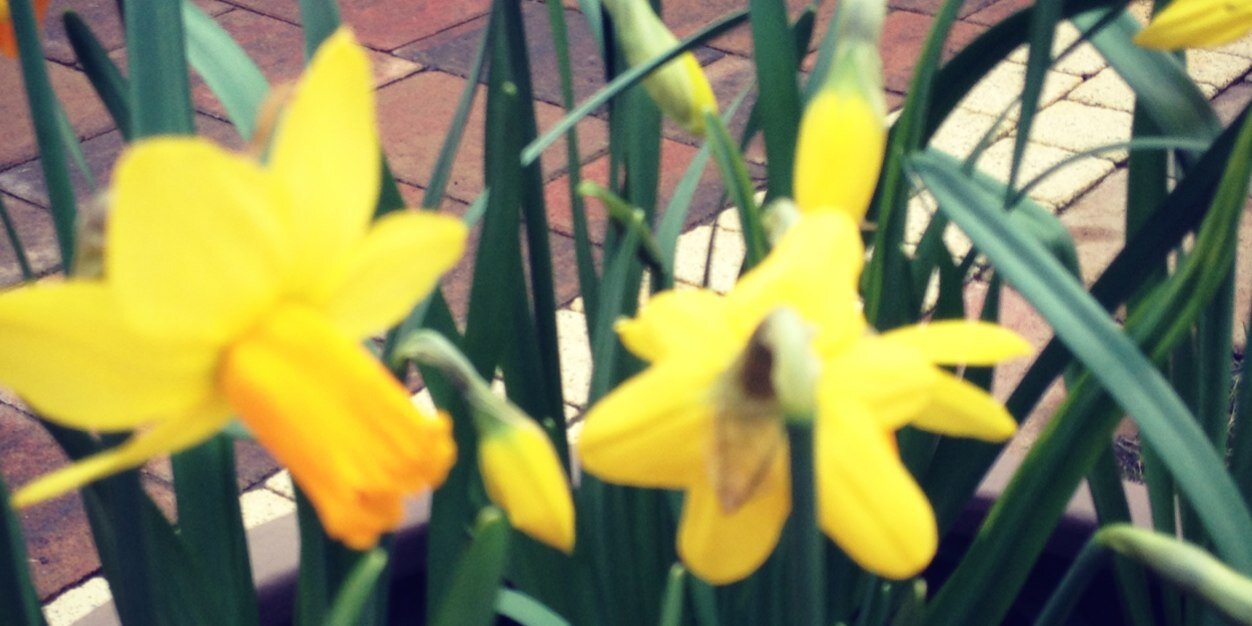 Busby_Caz's profile banner image