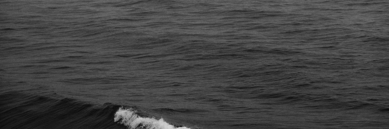 ;/ banner
