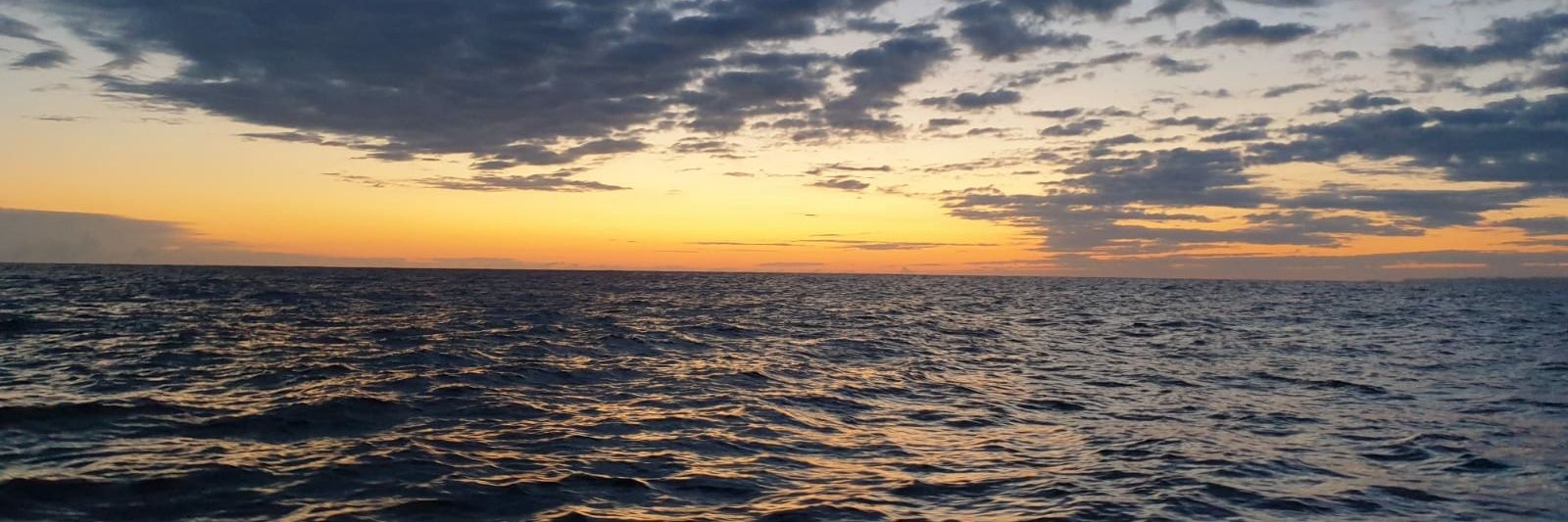 MarcosAlo_'s profile banner image