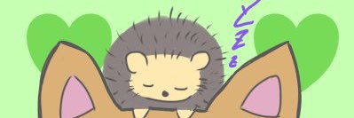 そうた。🌷🌻 banner