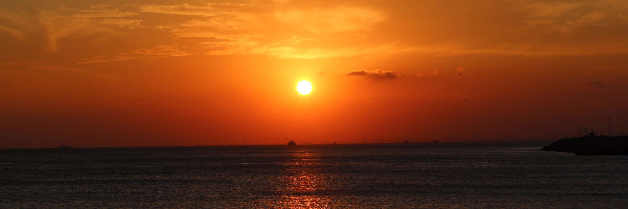 es_sunar's profile banner image
