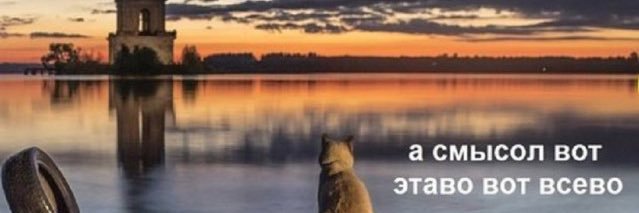 Шла Саша banner