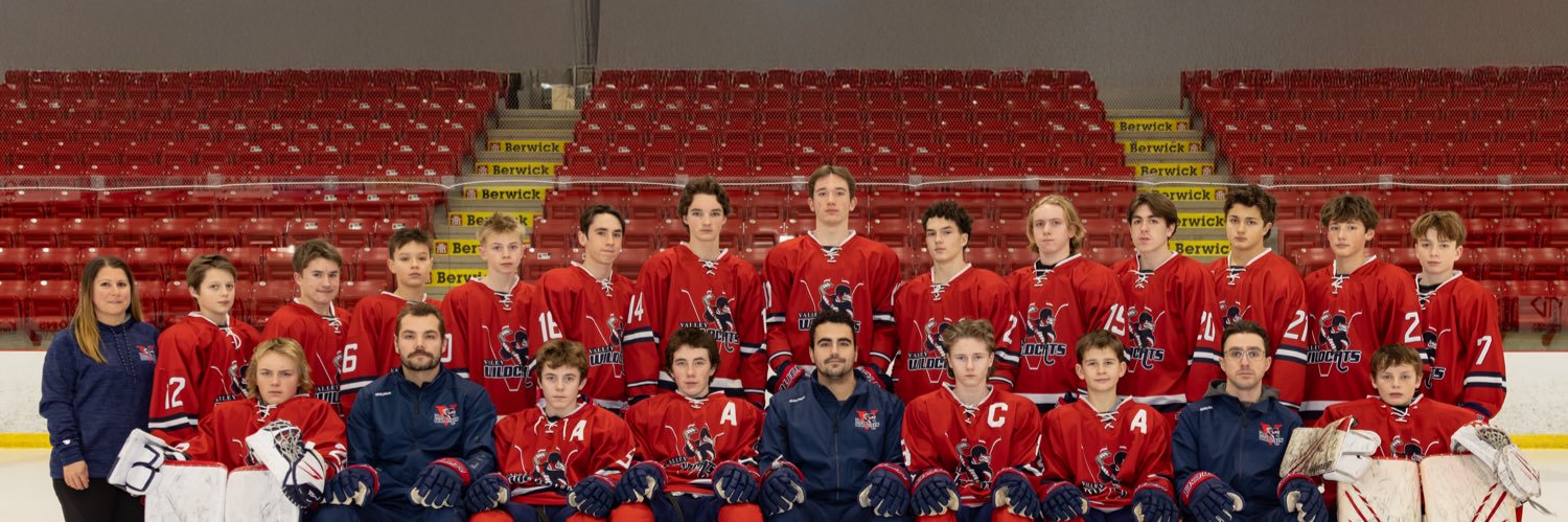 Valley Wildcats U15 Majors banner