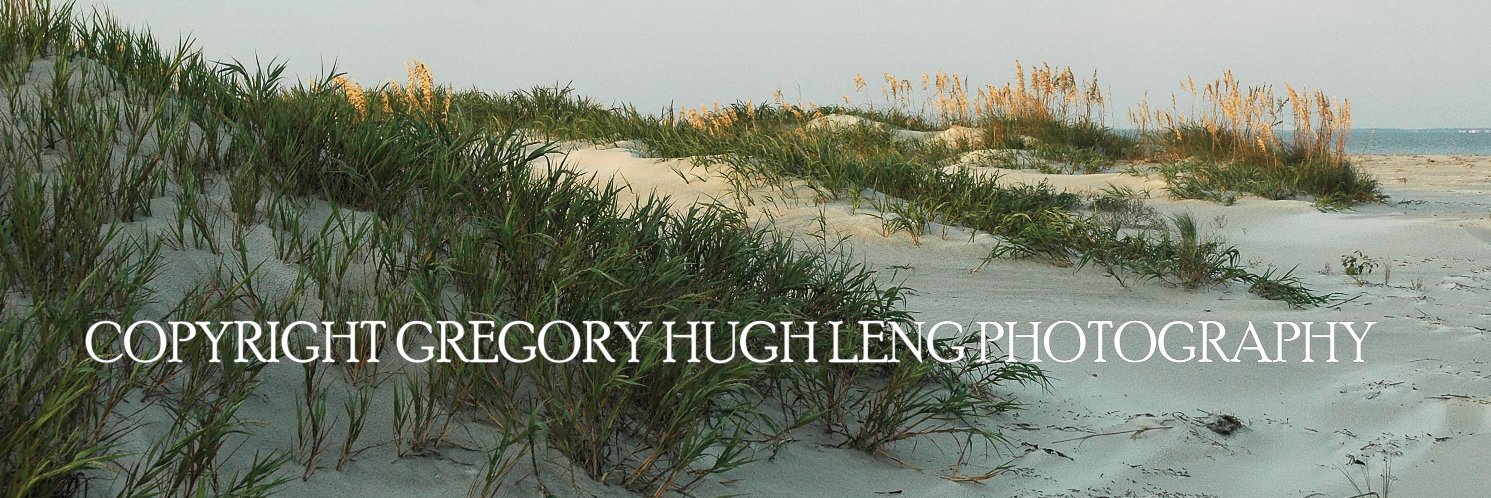 GregoryHughLeng's profile banner image