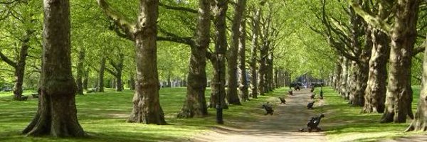 icare_SDG Profile Banner