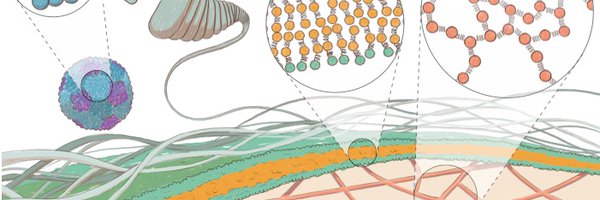 SaricLab Profile Banner