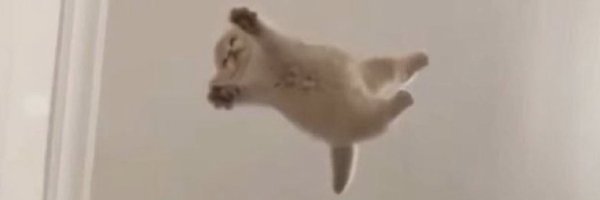 Kaneq1337 Profile Banner