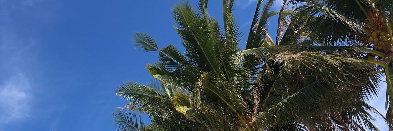 mhlnaa's profile banner image
