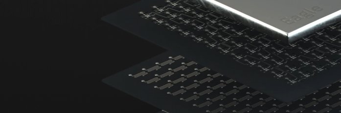 Raveh Neeman banner