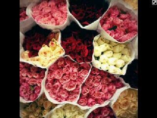 RiniSaputri8's profile banner image