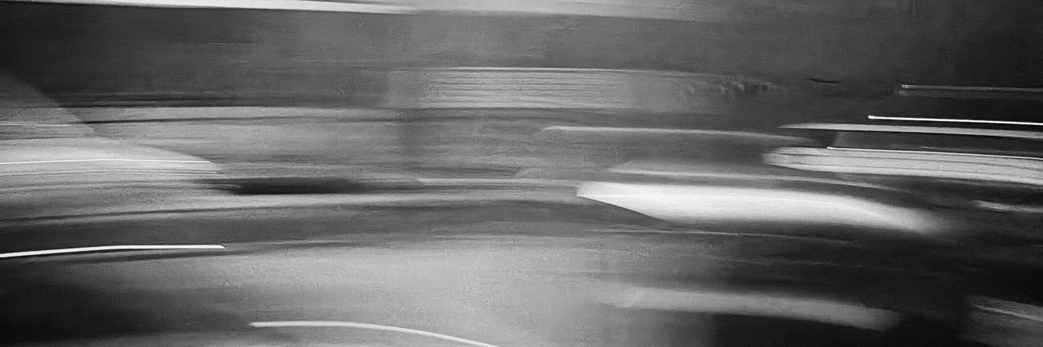 ziptoid⛧🇵🇸 banner