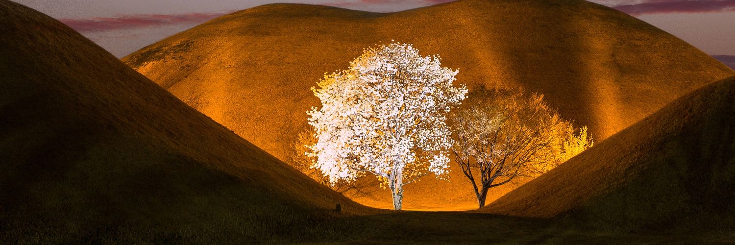 Vitalis C. Ezeilo banner