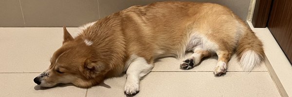 prof_ilya Profile Banner