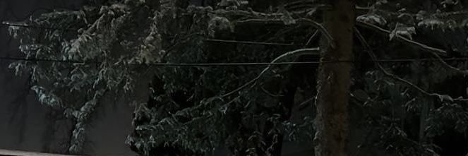 عبدالعزيز banner