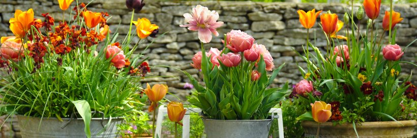 Create Academy banner