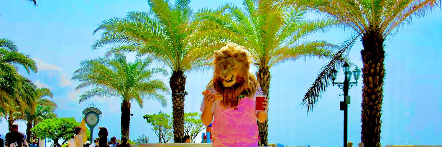 LIONdrumDaryl's profile banner image