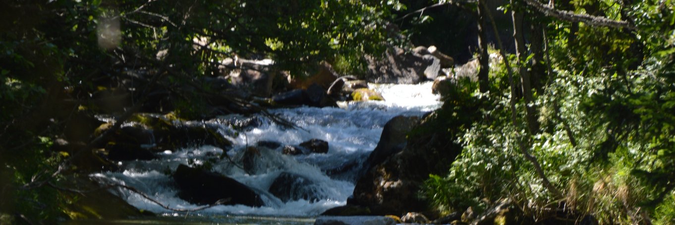 Risarego's profile banner image