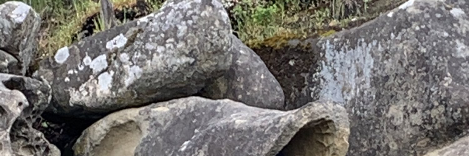 flotsamnjetsom banner