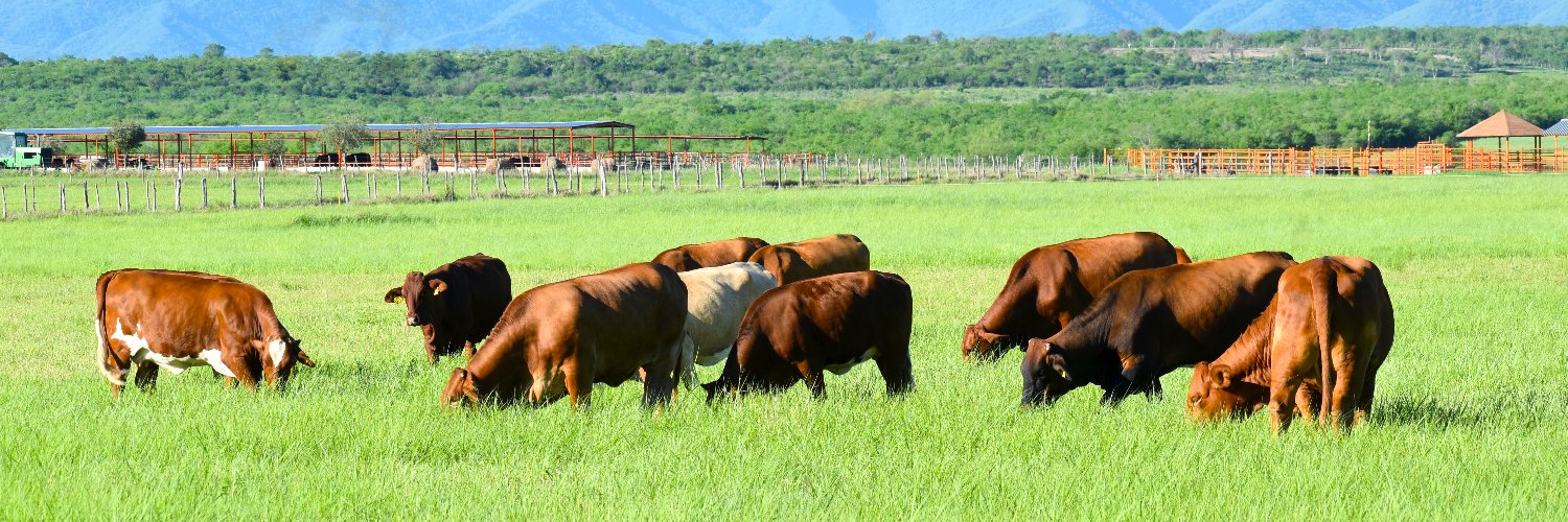 beefmastermx's profile banner image