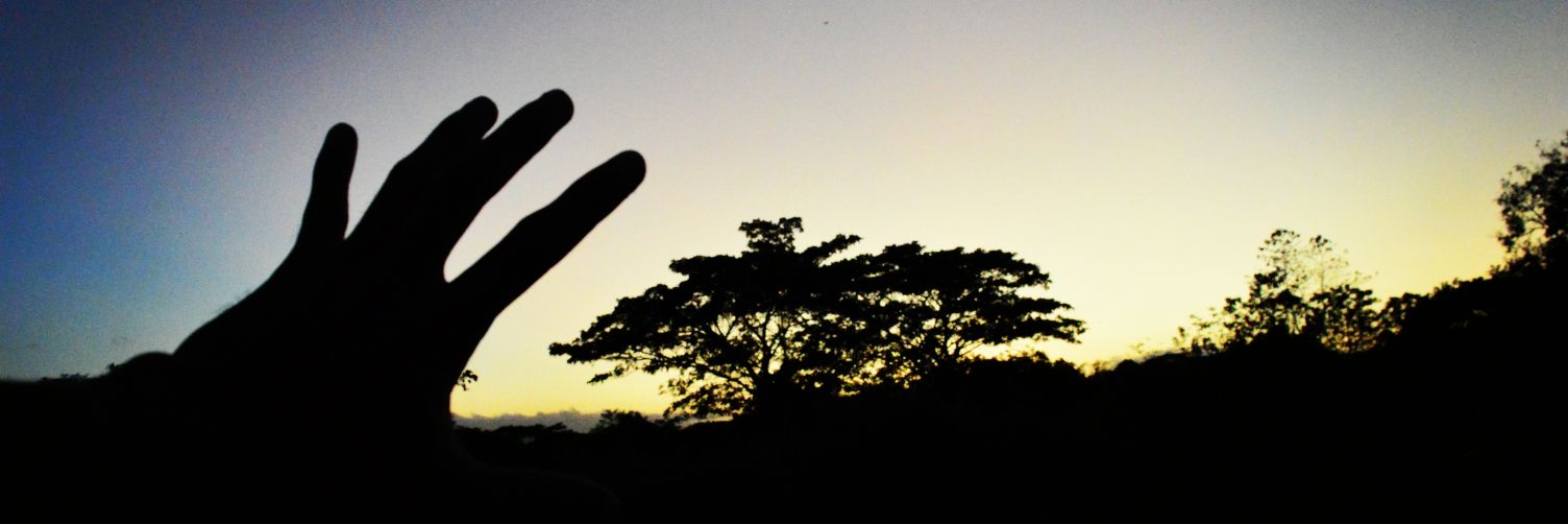 nniiikkoooo's profile banner image