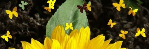 michelle_bells's profile banner image