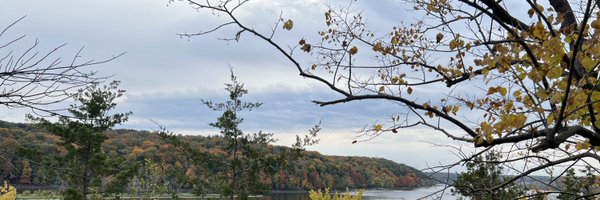 kumaranupammd Profile Banner