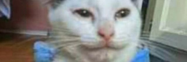 Big man 🇵🇸🇮🇱🏴‍☠️🇨🇮🇺🇸🏳️‍🌈🇺🇦🇷🇺🏁🚩 banner