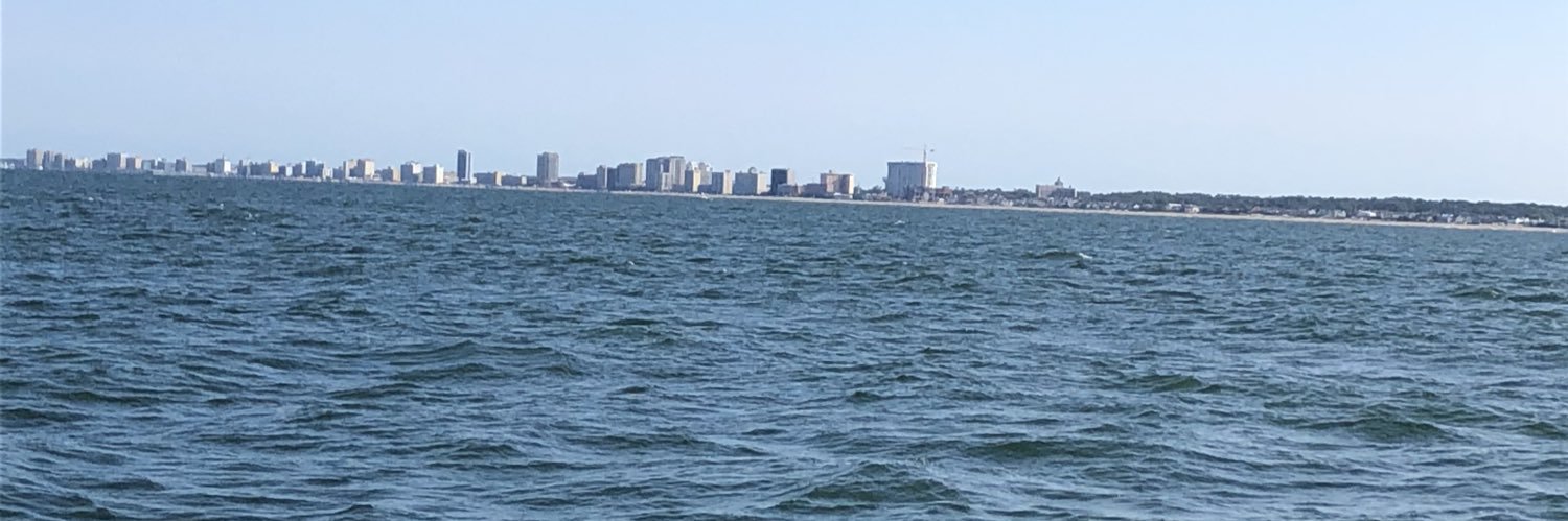 Ryan Davidson🇺🇸 banner