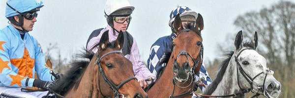 GallopingontheS Profile Banner