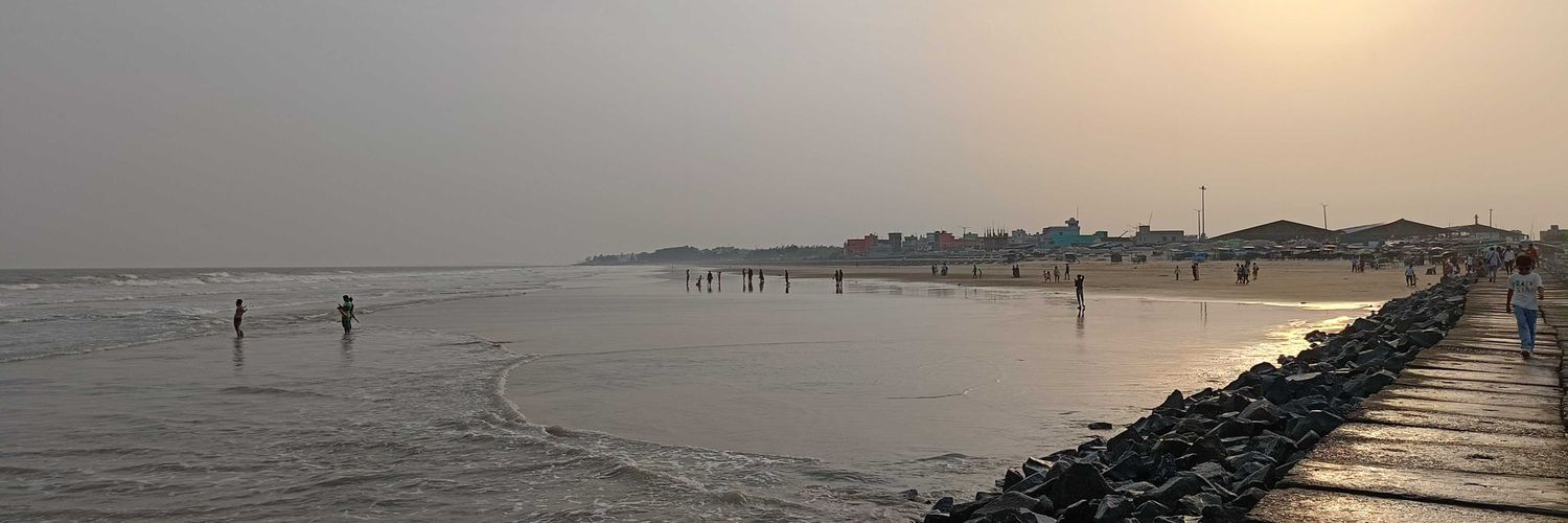 Bini Majumdar banner