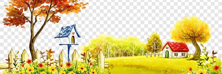 The CEO banner