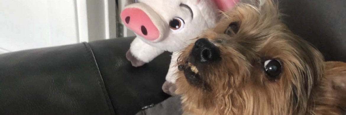 emmalouisec96's profile banner image