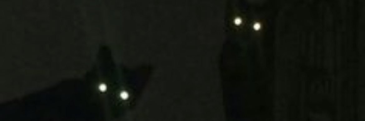arweeeennnn's profile banner image