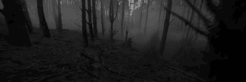 NimsayBF's profile banner image
