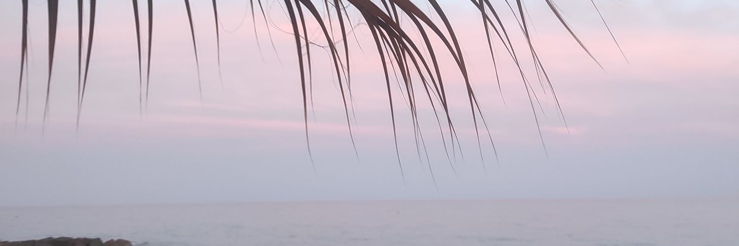 amcasnav's profile banner image