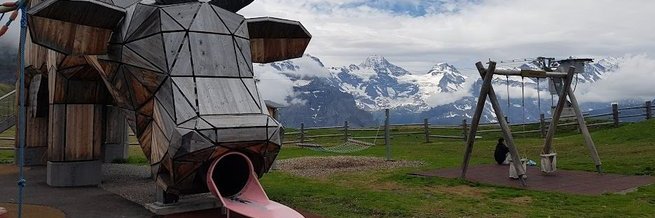 Aurelien Lucchi banner