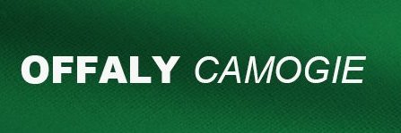 Offaly Camogie banner