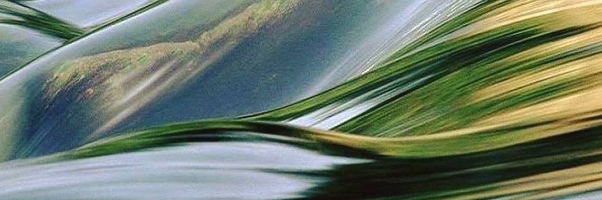 canbulbl's profile banner image