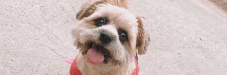 notraquelb's profile banner image