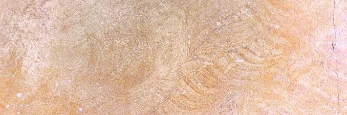 shandy_conny's profile banner image
