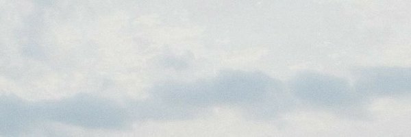 hoonmisser Profile Banner