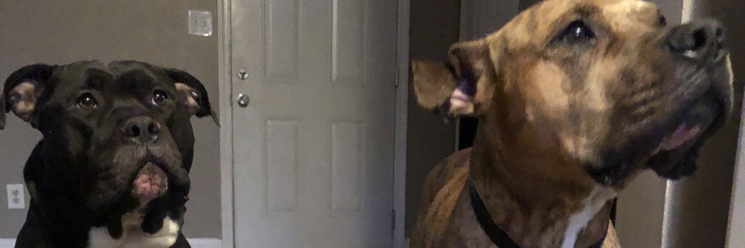 ShortSarcasm's profile banner image