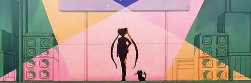 MissNattyCat's profile banner image