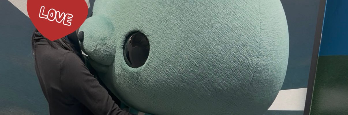 fr248657's profile banner image