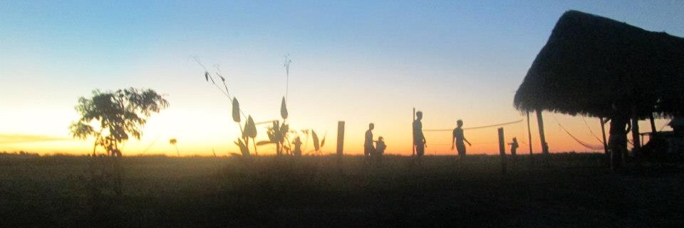 May Woods banner