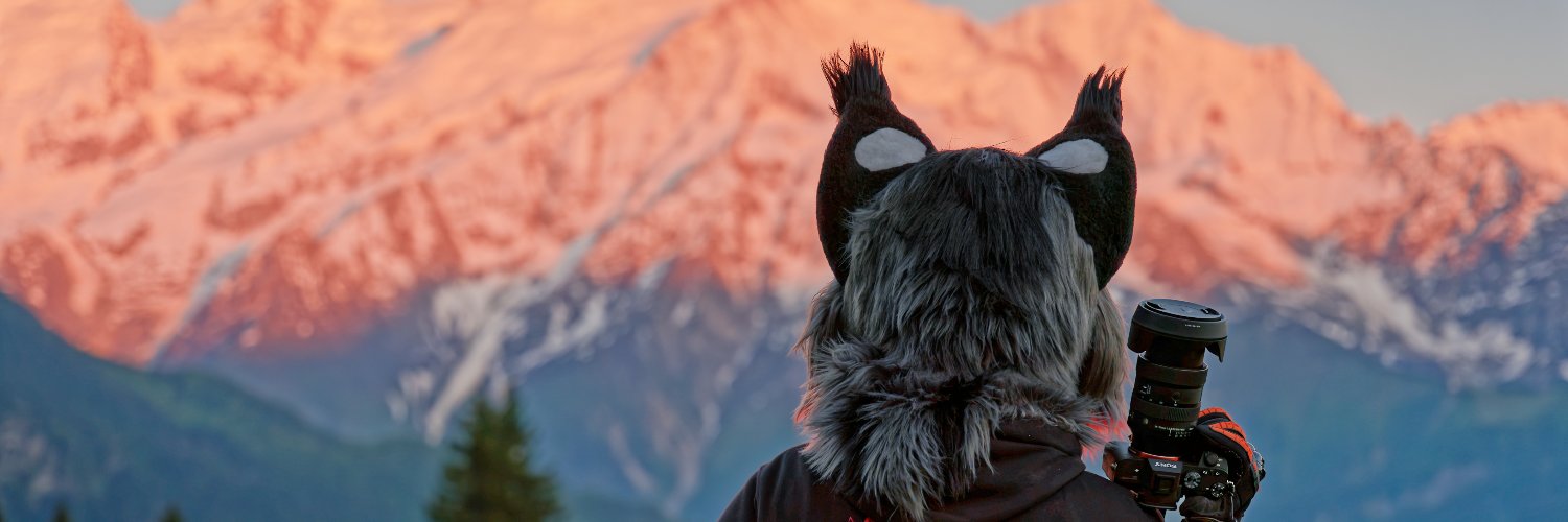 Krym🐾 banner