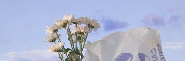 내 취향의 옷장 banner
