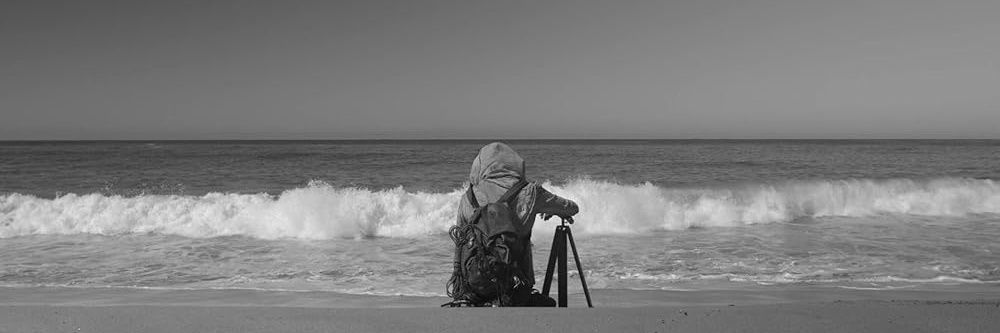 lales_san's profile banner image